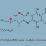 hcooch ch2 h2o: The Basics of Formic Acid Esters